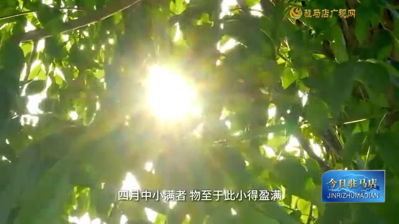 今日迎小满 万物藏盛意