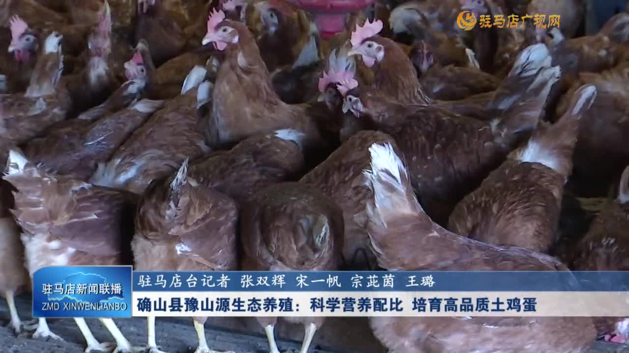 确山县豫山源生态养殖：科学营养配比 培育高品质土鸡蛋