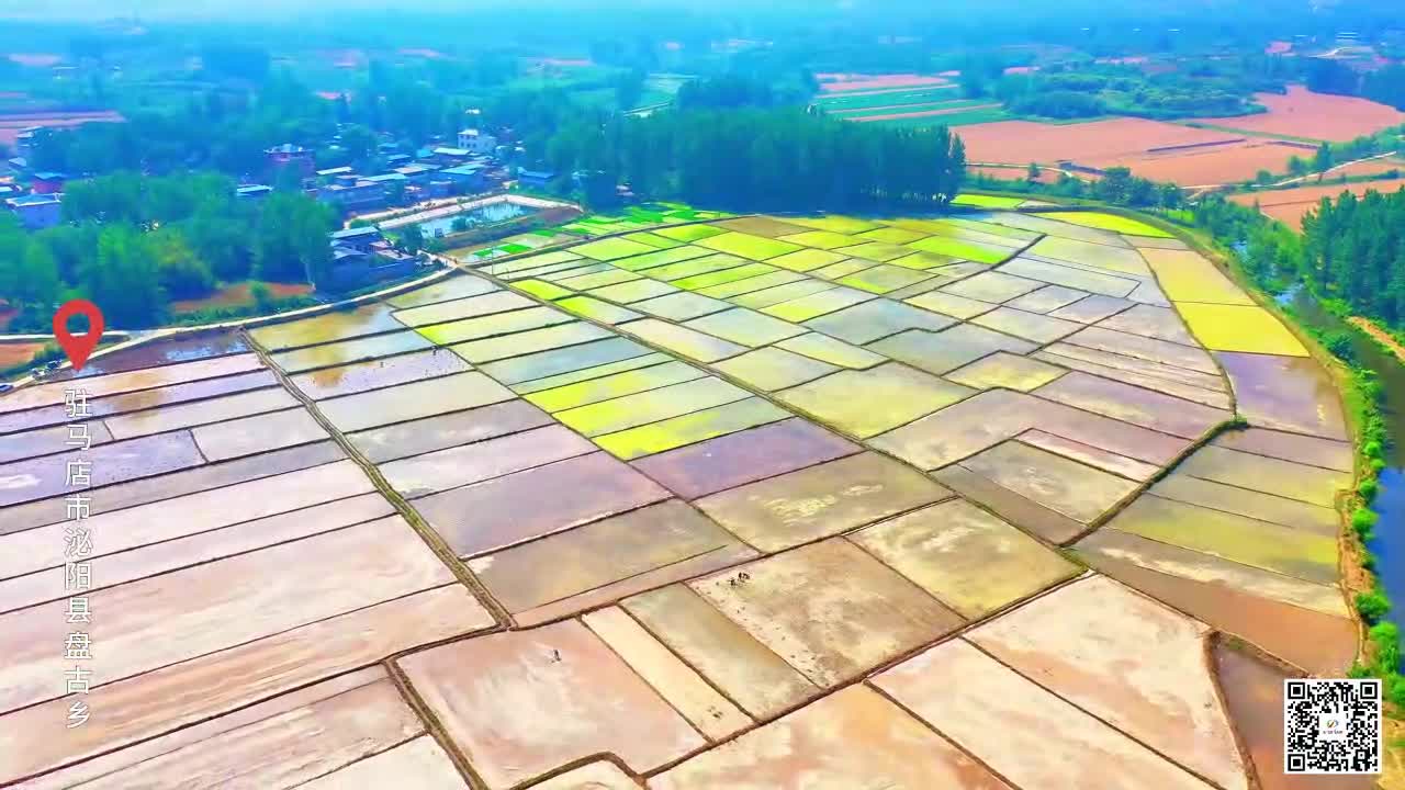 阡陌间如打翻调色盘 插秧忙 待稻香
