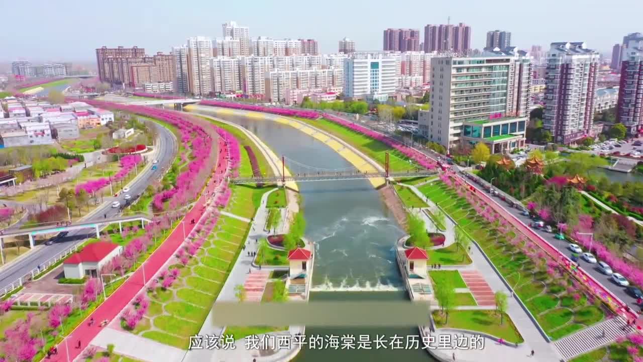 诗意乡愁——焦海涛与《海棠望》的故乡密码