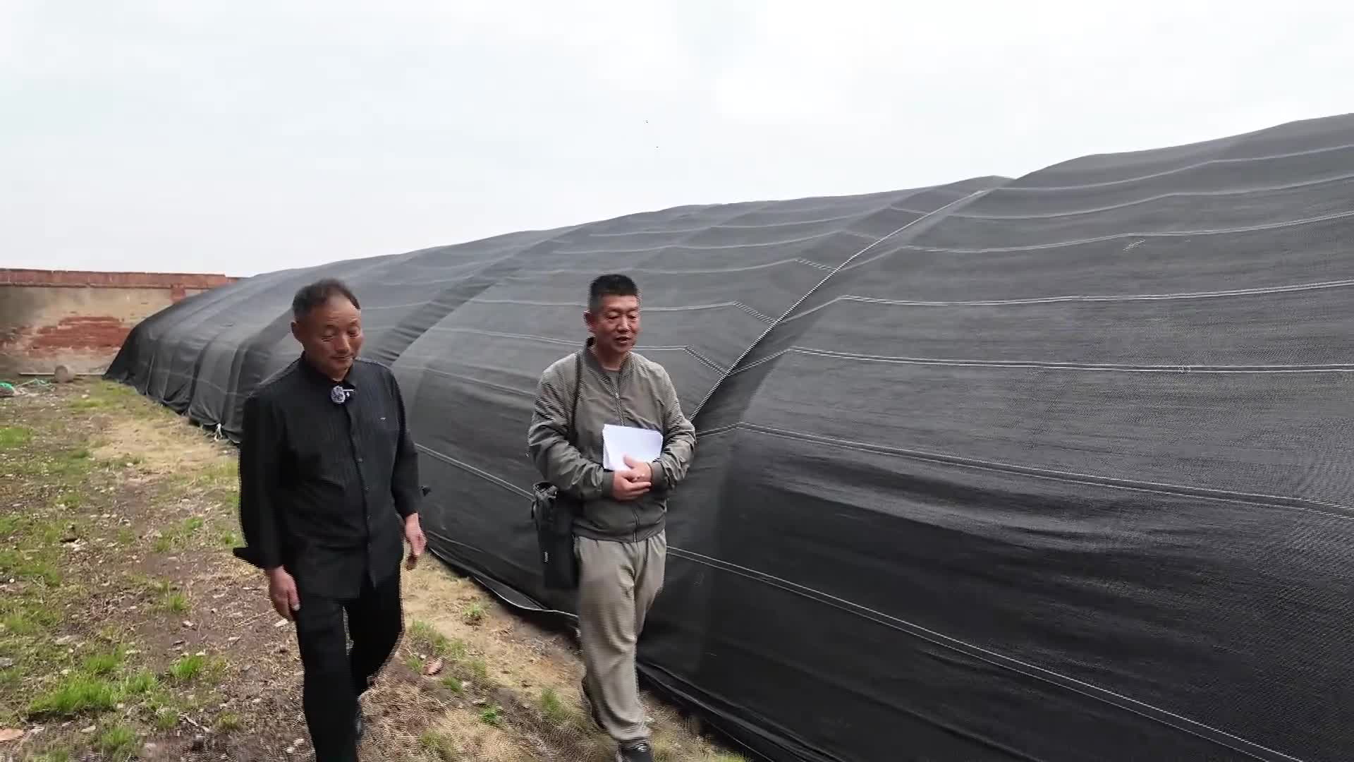 全国劳动模范高建林：以食用菌种植助力乡村振兴