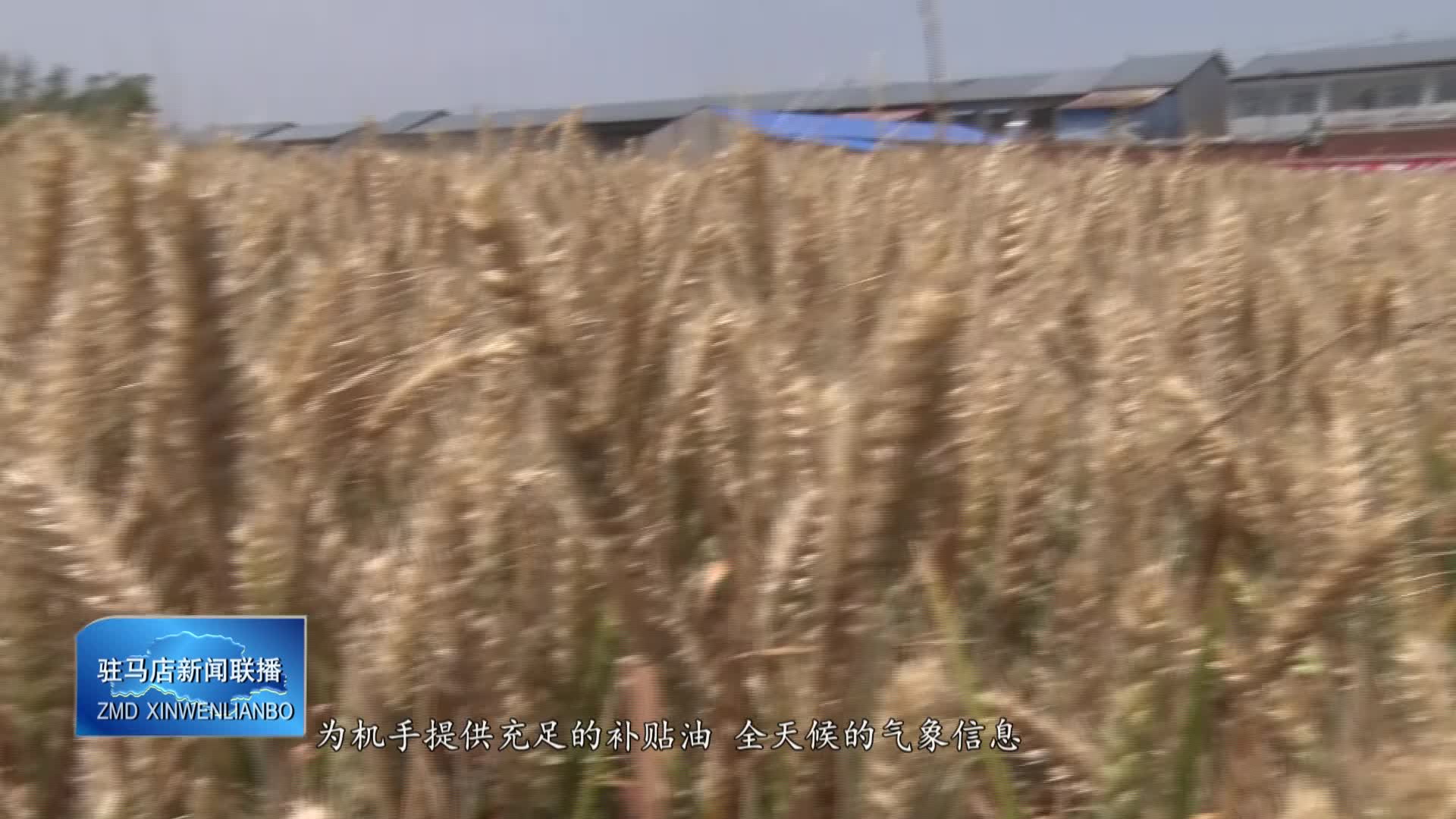 遂平：做好麦收准备工作 为夏粮丰收提供保障