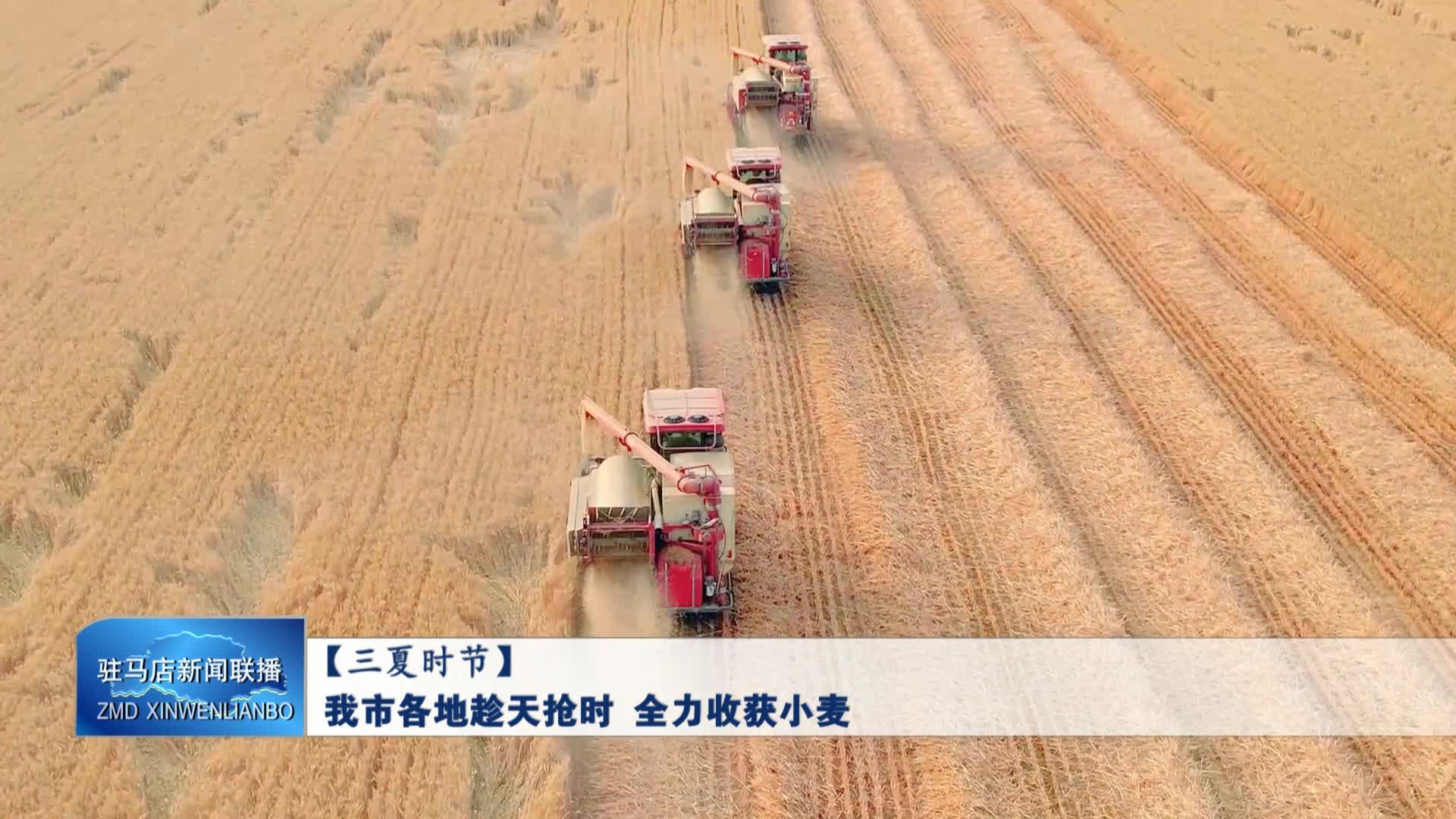 我市各地趁天搶時(shí) 遂平縣全力收獲小麥