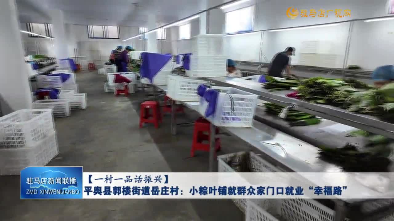 【一村一品話振興】平輿縣郭樓街道岳莊村：小粽葉鋪就群眾家門口就業“幸福路”