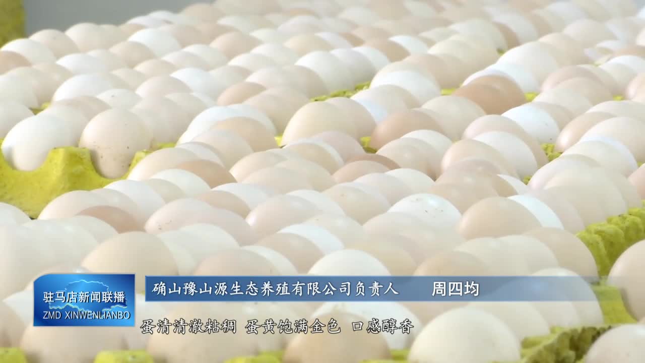 确山县豫山源生态养殖：科学营养配比 培育高品质土鸡蛋