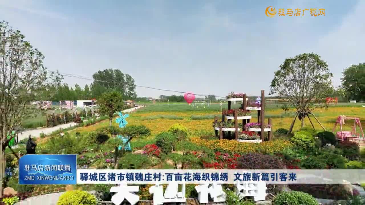 驛城區(qū)諸市鎮(zhèn)魏莊村：百畝花海織錦繡 文旅新篇引客來