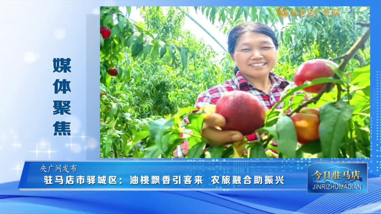 【媒體聚焦】駐馬店市驛城區(qū)：油桃飄香引客來 農旅融合助振興......