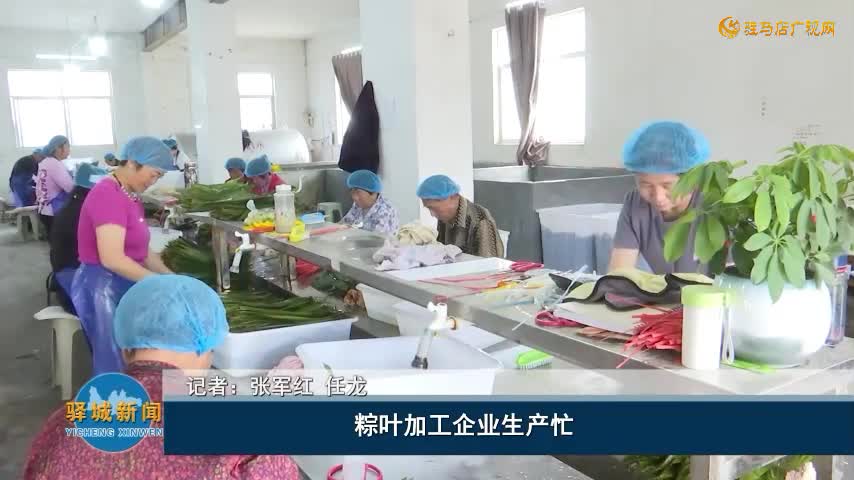 粽叶加工企业生产忙  