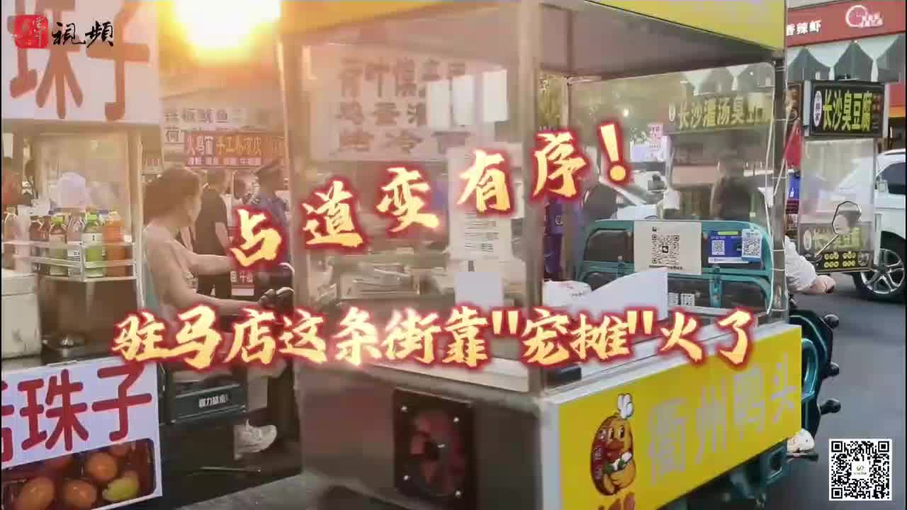 驻马店这条街靠“宠摊”火了......|《今日驻马店》资讯第132期