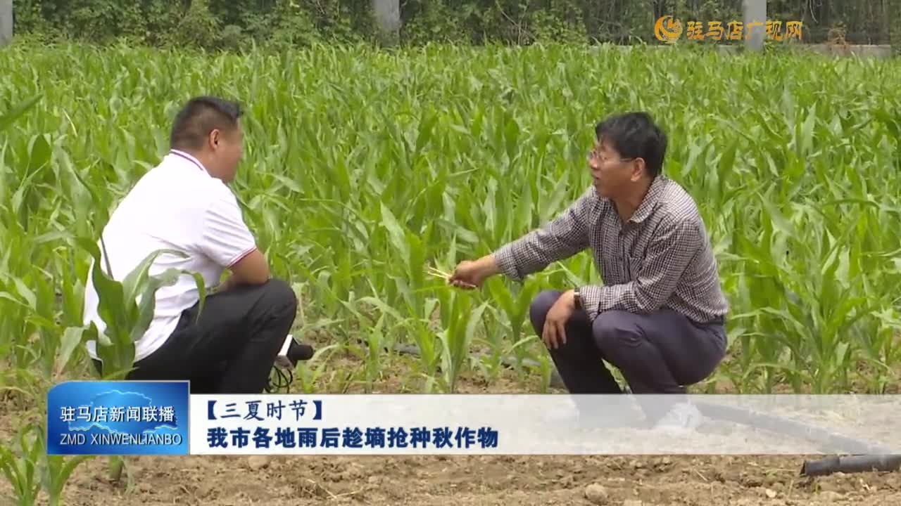 【三夏時節】我市各地雨后趁墑搶種秋作物