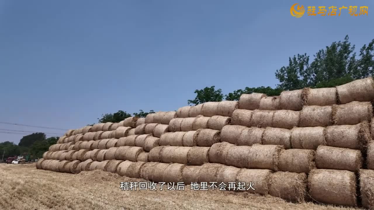 順河街道雷莊村：織密秸稈禁燒“防護網(wǎng)”