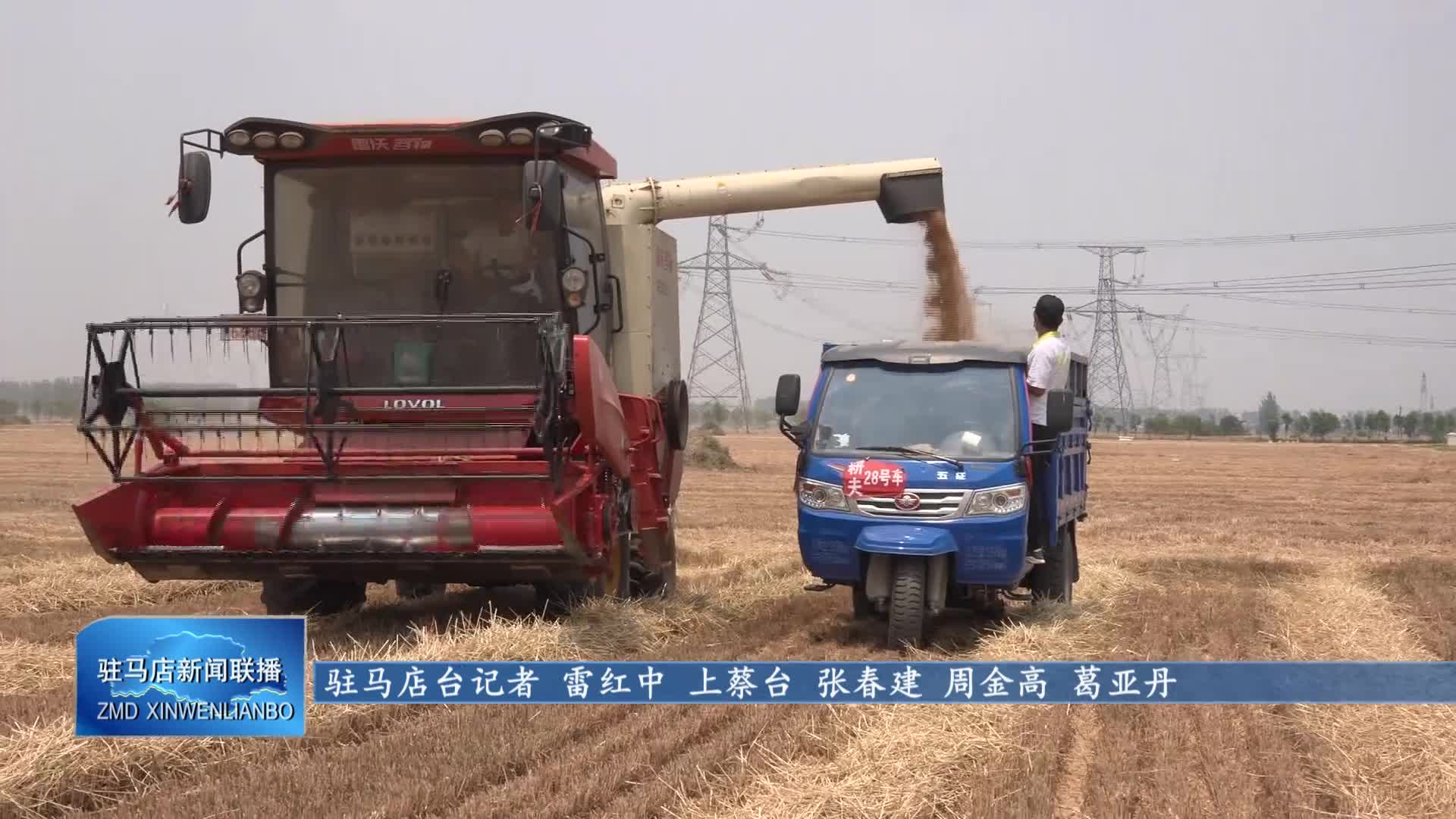 上蔡：抢抓农时收割小麦 确保夏粮颗粒归仓