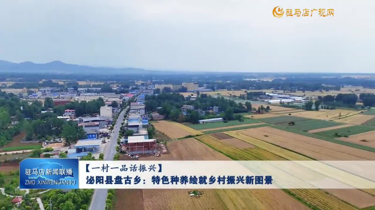 【一村一品話振興】泌陽縣盤古鄉(xiāng)：特色種養(yǎng)繪就鄉(xiāng)村振興新圖景