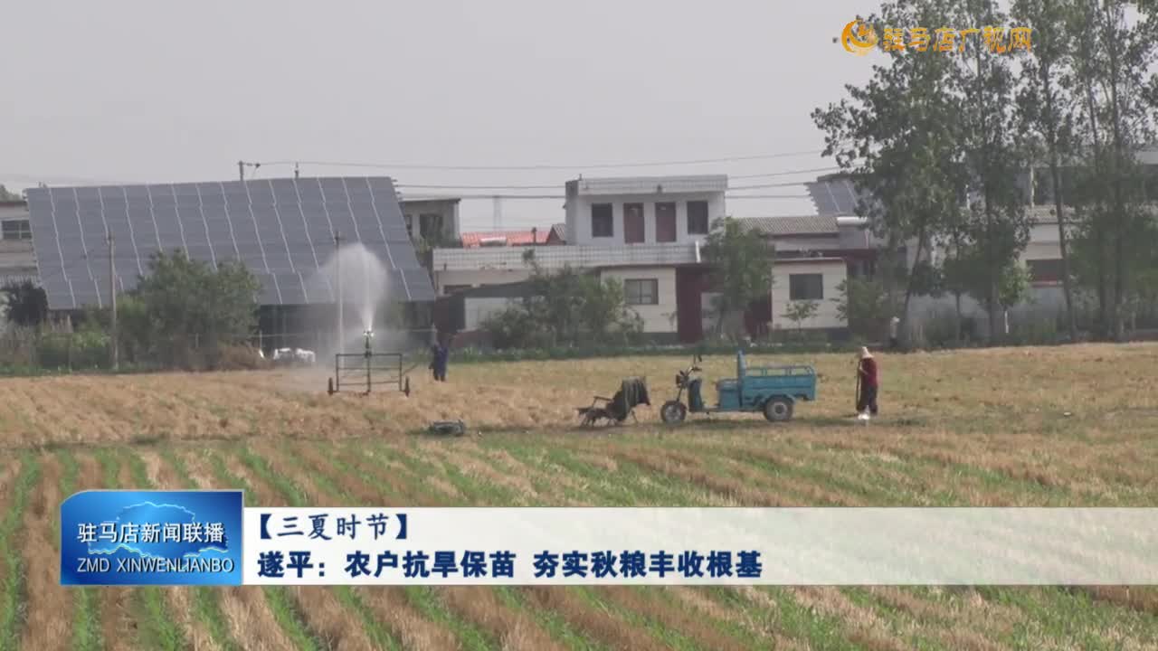 【三夏时节】遂平：农户抗旱保苗 夯实秋粮丰收根基