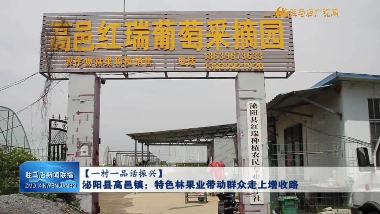 【一村一品话振兴】泌阳县高邑镇：特色林果业带动群众走上增收路