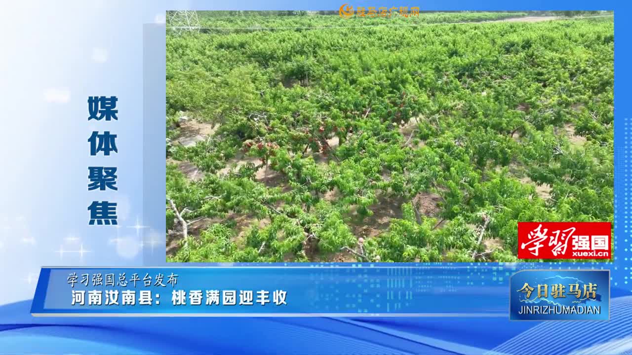【媒體聚焦】河南汝南縣：桃香滿(mǎn)園迎豐收