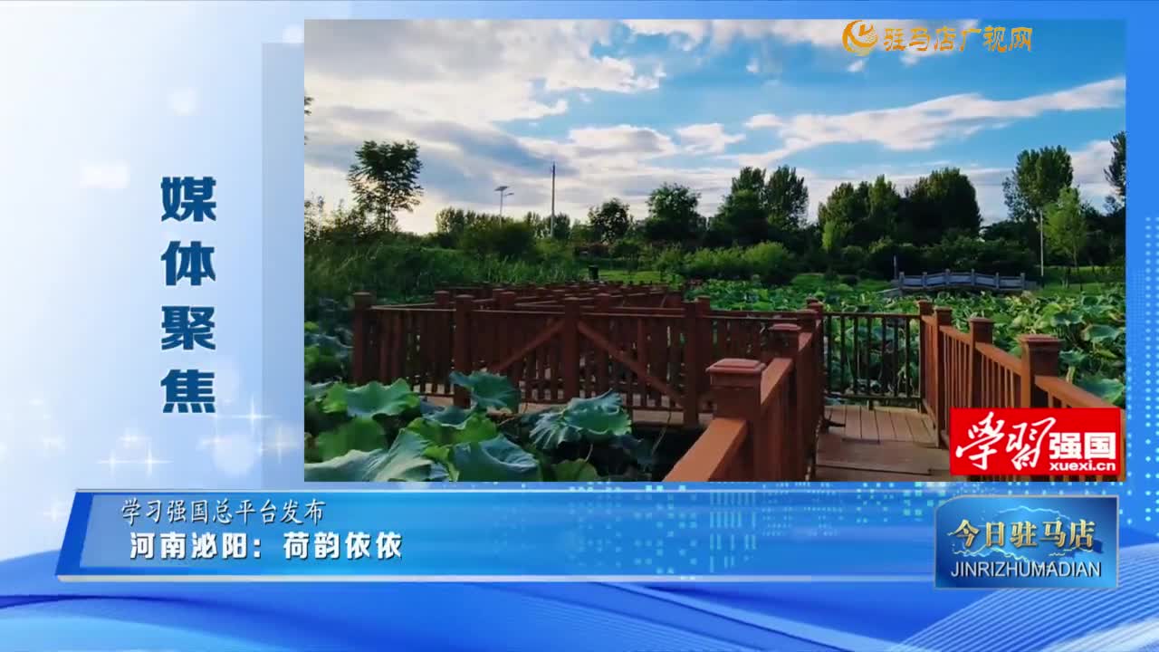 【媒體聚焦】河南泌陽：荷韻依依......
