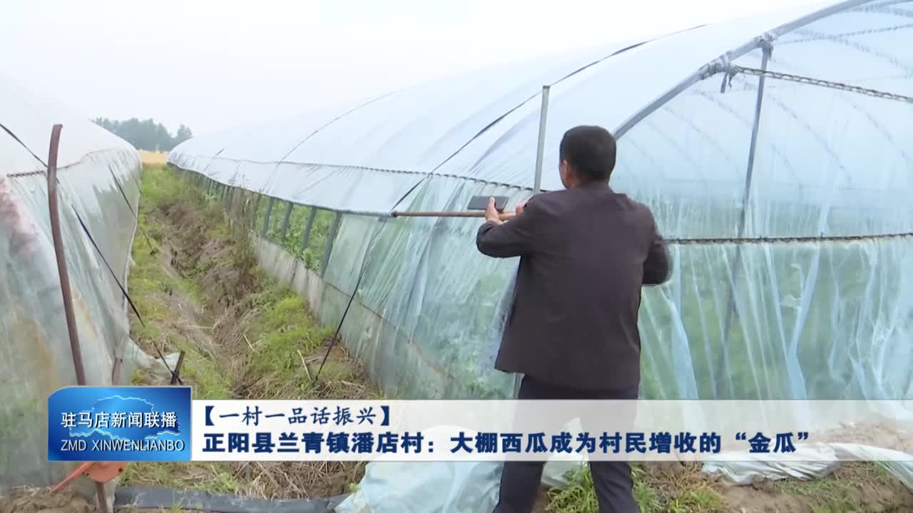 正阳县兰青镇潘店村：大棚西瓜成为村民增收的“金瓜”