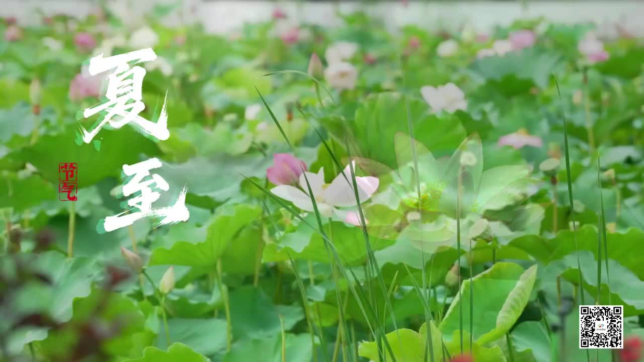 夏至-長日至 盛夏啟