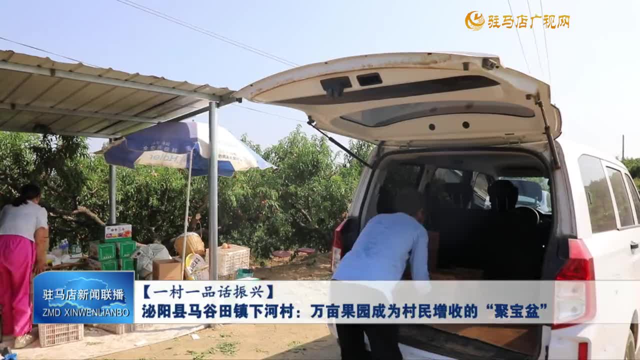 【一村一品話振興】泌陽(yáng)縣馬谷田鎮(zhèn)下河村：萬(wàn)畝果園成為村民增收的“聚寶盆