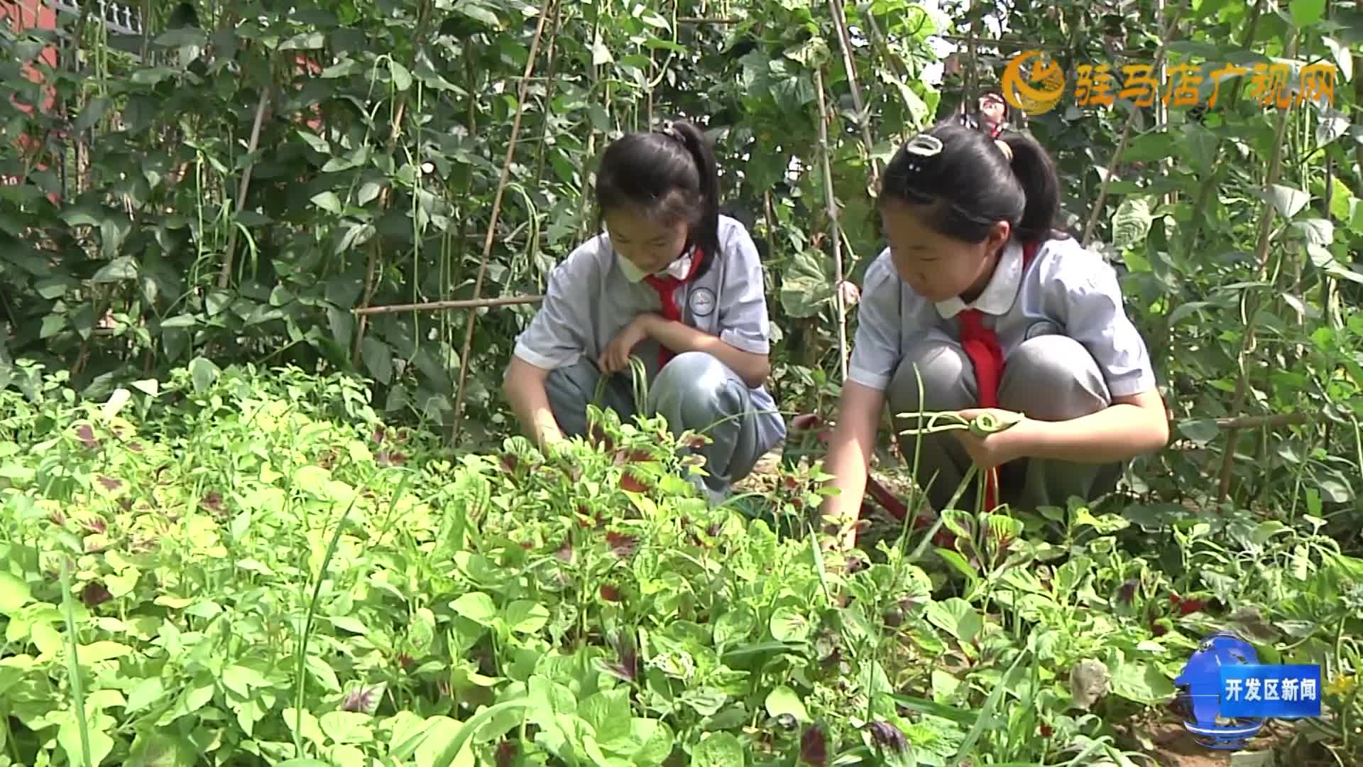 經(jīng)濟(jì)開發(fā)區(qū)金雀路小學(xué)：校園小集市 收獲大成長