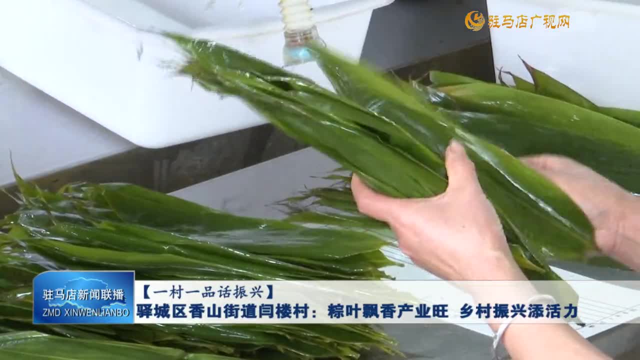 【一村一品话振兴】驿城区香山街道闫楼村：粽叶飘香产业旺 乡村振兴添活力