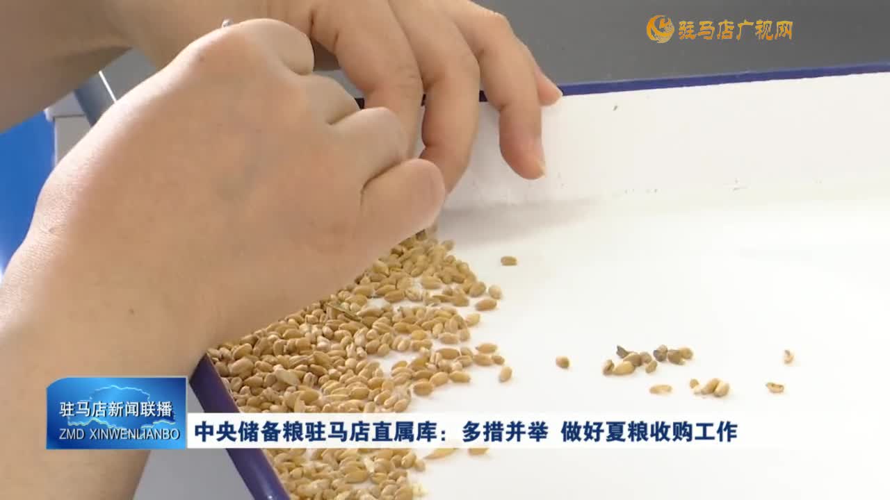 中央儲(chǔ)備糧駐馬店直屬庫(kù)：多措并舉 做好夏糧收購(gòu)工作