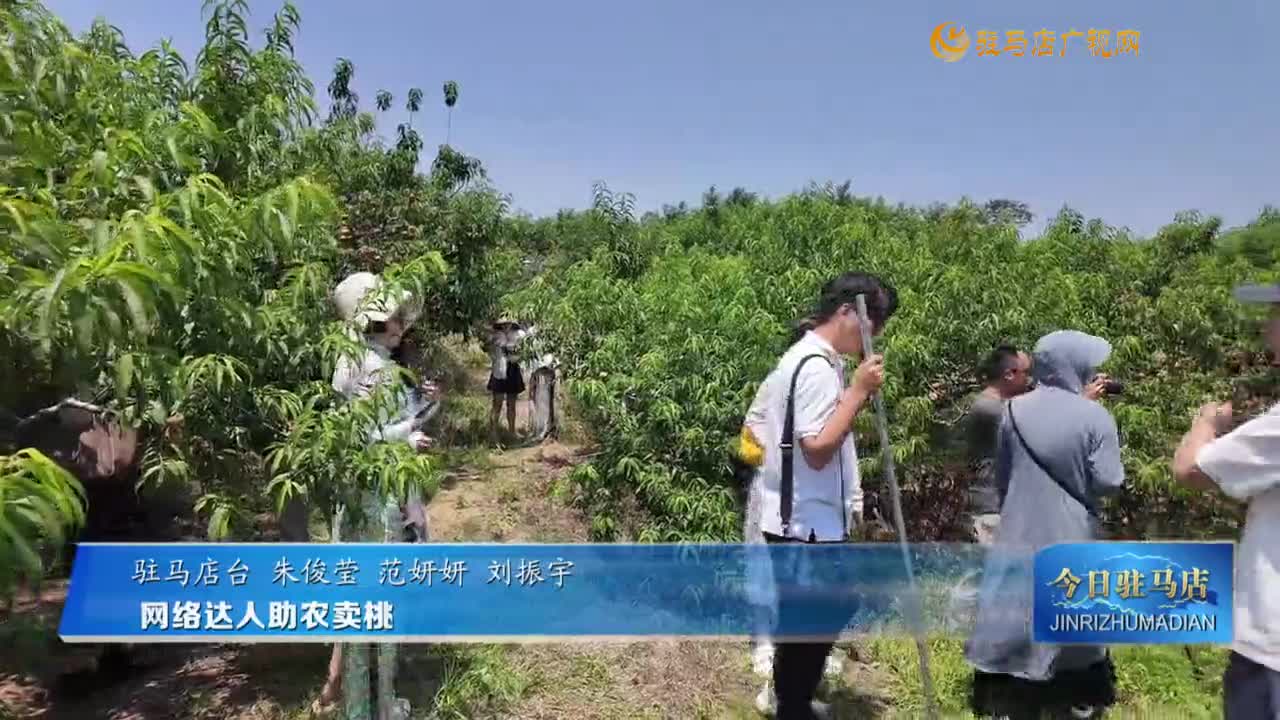 網(wǎng)絡(luò)達(dá)人助農(nóng)賣桃