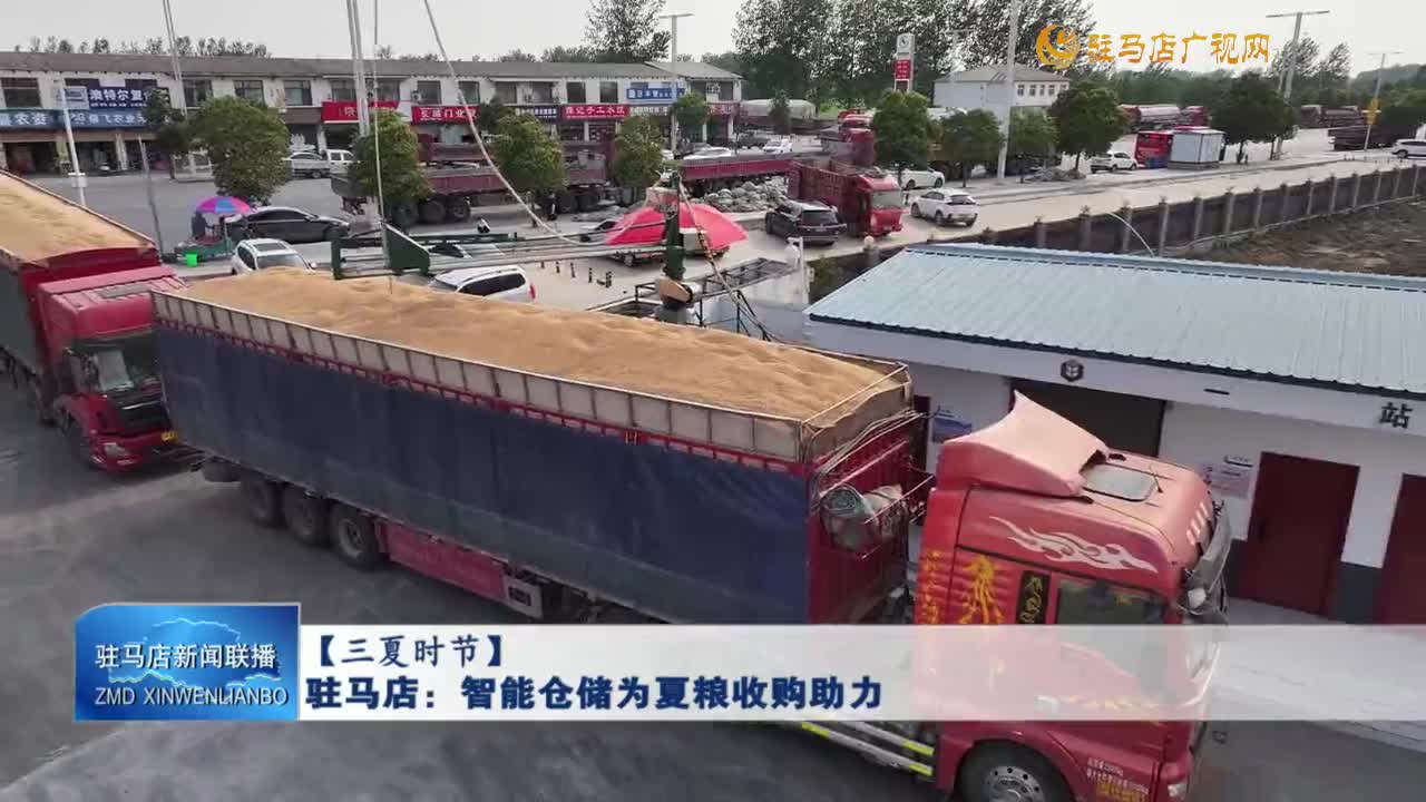 【三夏時節(jié)】駐馬店：智能倉儲為夏糧收購助力