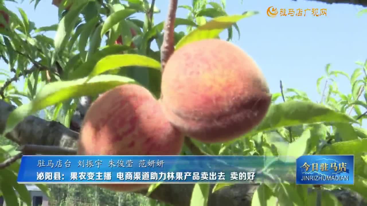 泌陽縣：果農變主播 電商渠道助力林果產品賣出去 賣的好