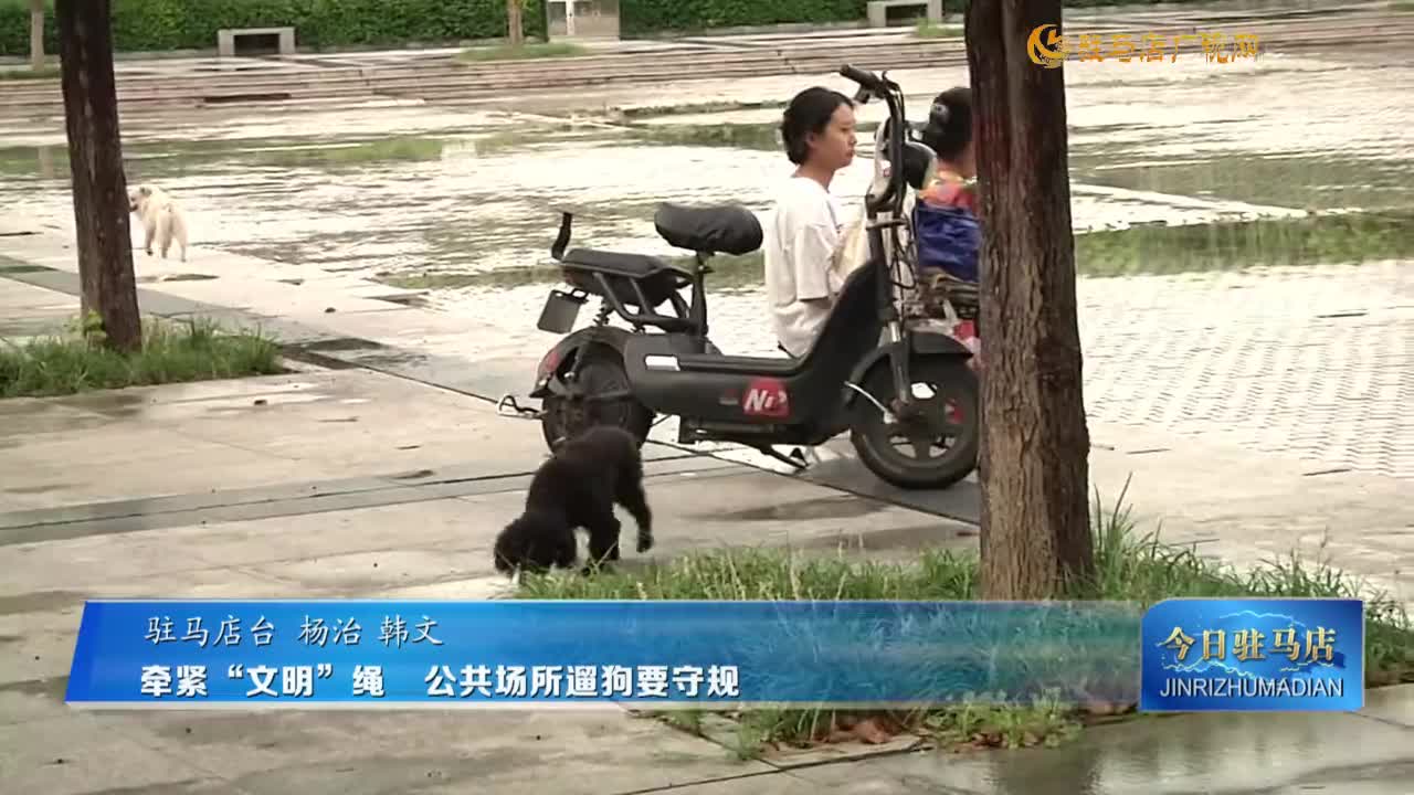 牽緊“文明”繩 公共場所遛狗要守規(guī)