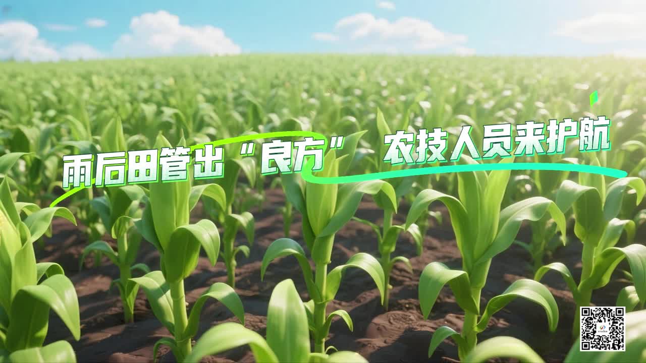 雨后田管出“良方” 農技人員來護航
