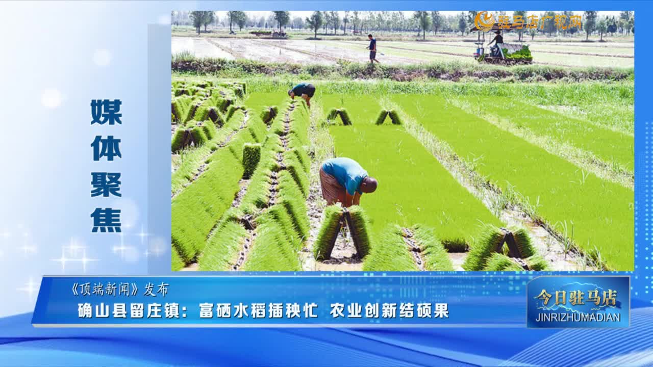 【媒体聚焦】确山县留庄镇：富硒水稻插秧忙 农业创新结硕果......