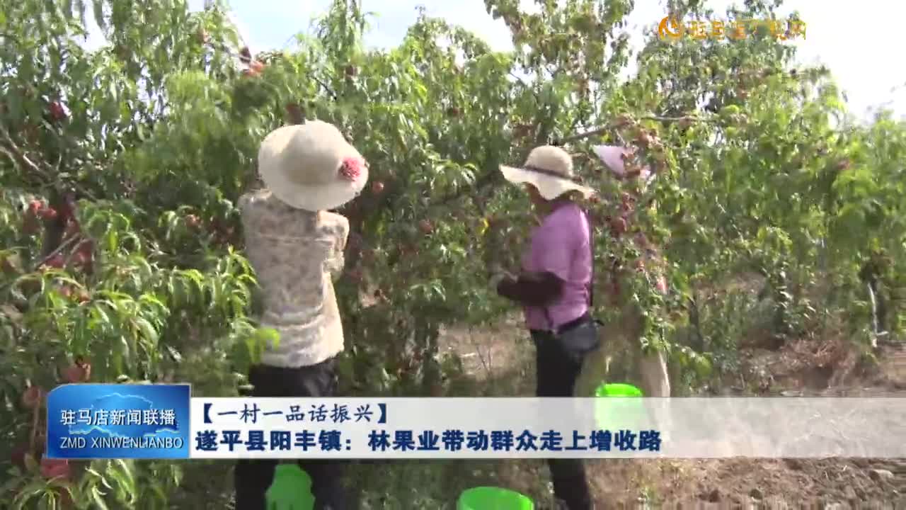 【一村一品话振兴】遂平县阳丰镇：林果业带动群众走上增收路