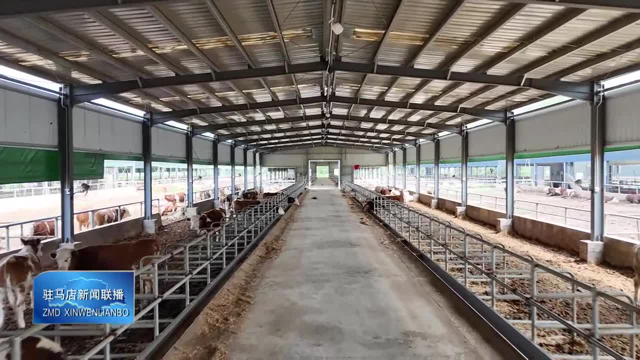 确山县任店镇蒋庄村：肉牛养殖项目成效显著 产业振兴步伐加快