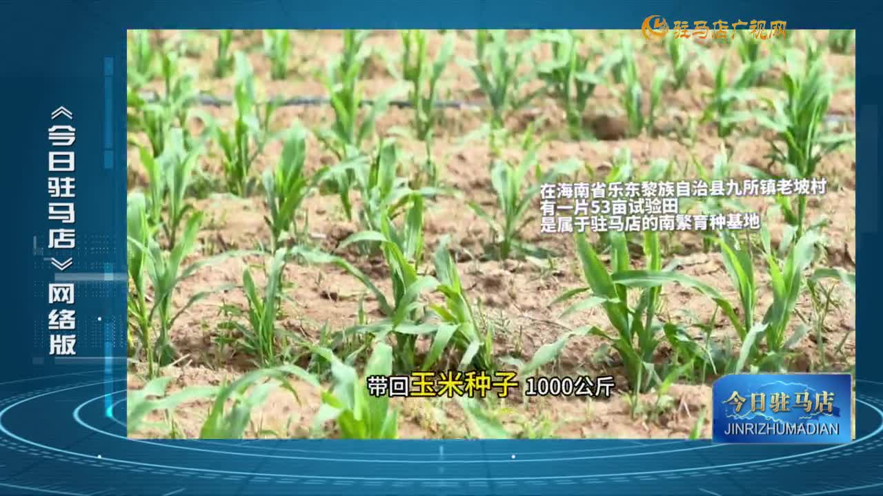 2025.06.27——《今日驻马店》网络版