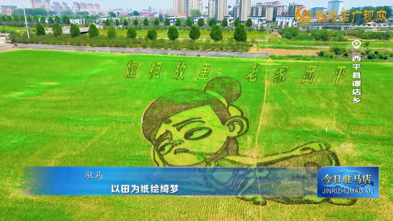 以田為紙繪綺夢 以稻為畫綻華光