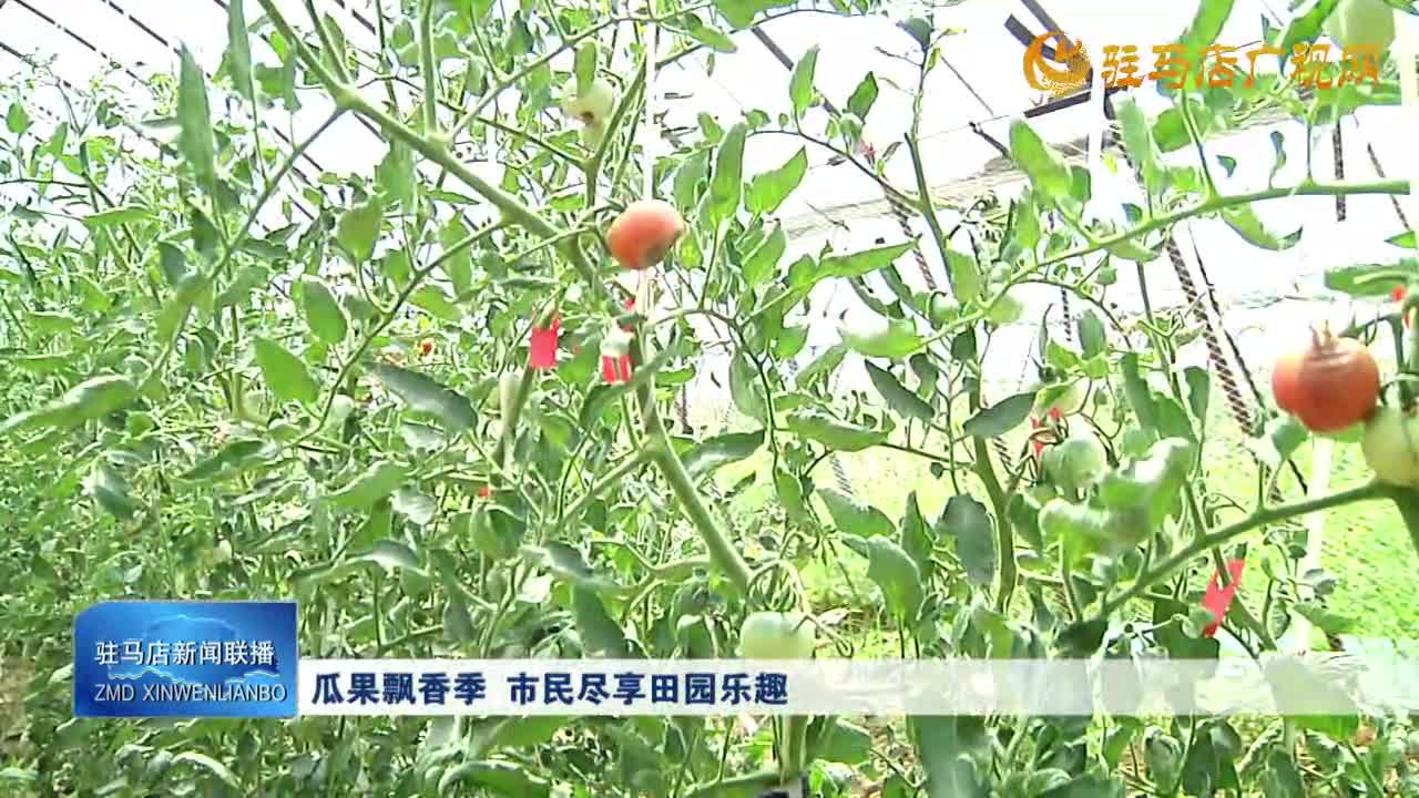 瓜果飘香季 市民尽享田园乐趣