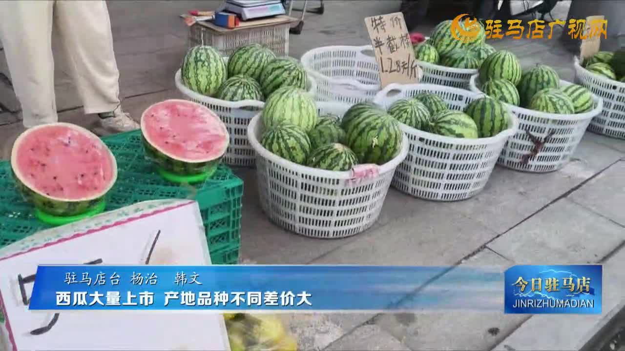 西瓜大量上市 產(chǎn)地品種不同差價大