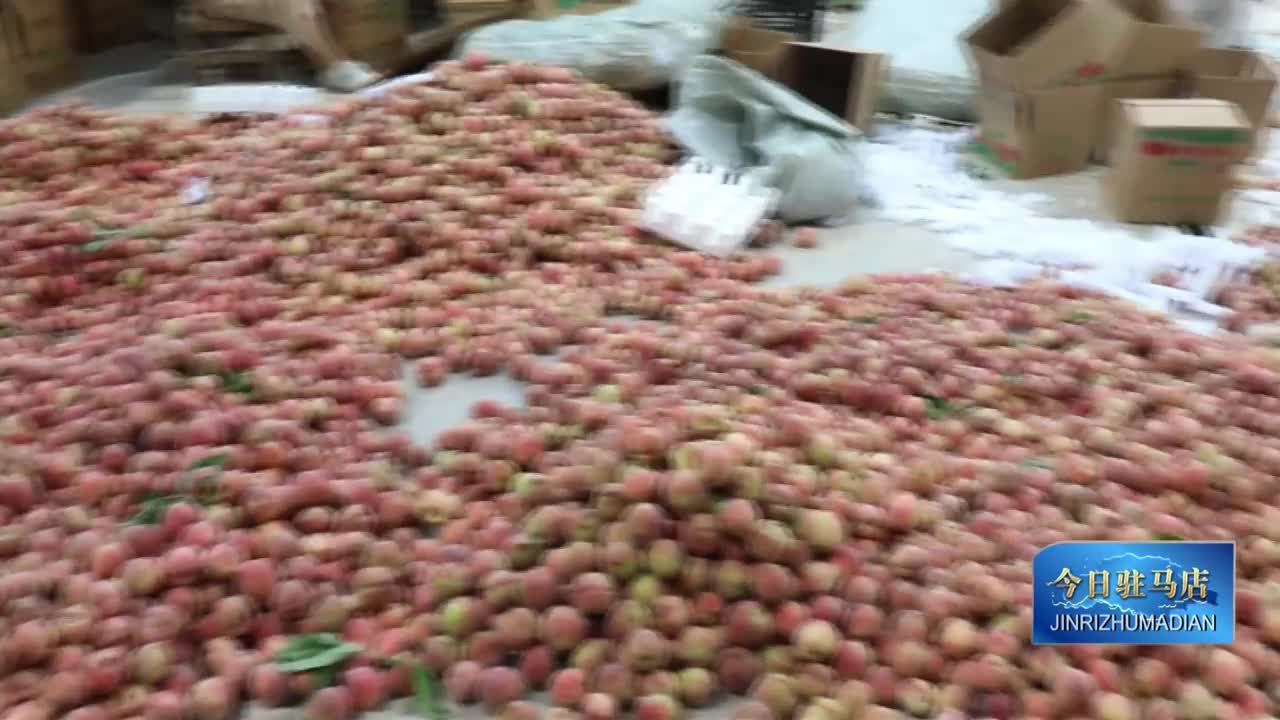 泌阳县：果农变主播 电商渠道助力林果产品卖出去 卖的好