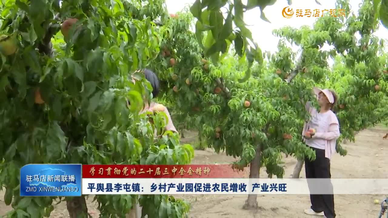 平輿縣李屯鎮：鄉村產業園促進農民增收 產業興旺