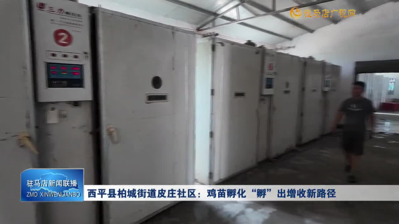 西平縣柏城街道皮莊社區：雞苗孵化“孵”出增收新路徑