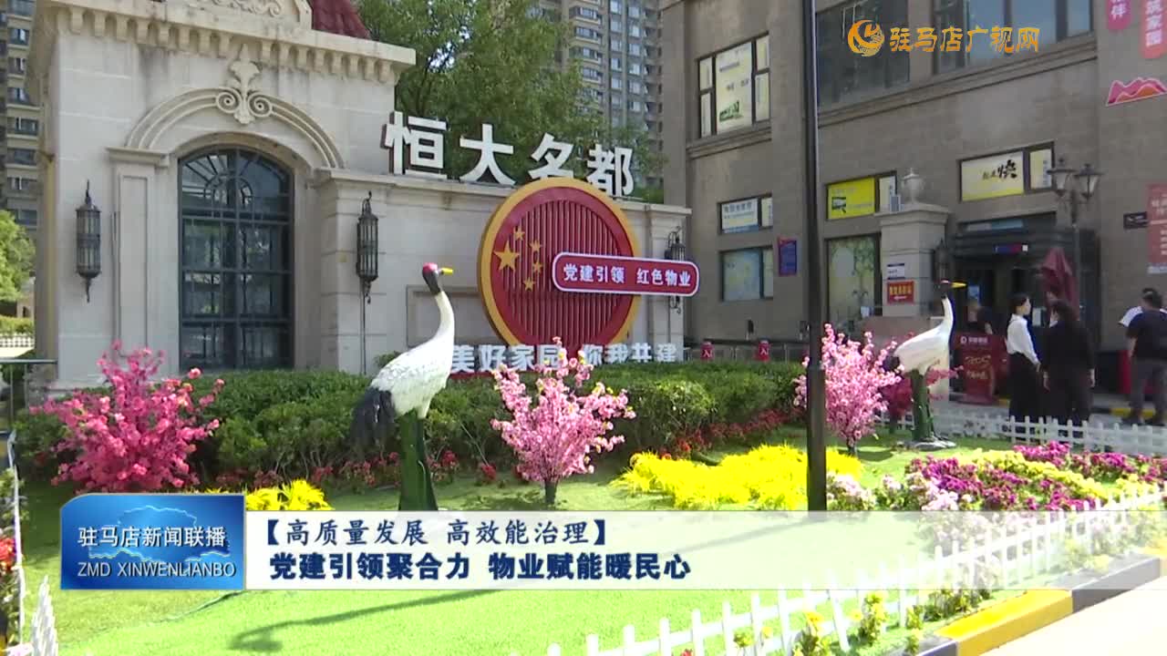 【高質量發展 高效能治理】黨建引領聚合力 物業賦能暖民心