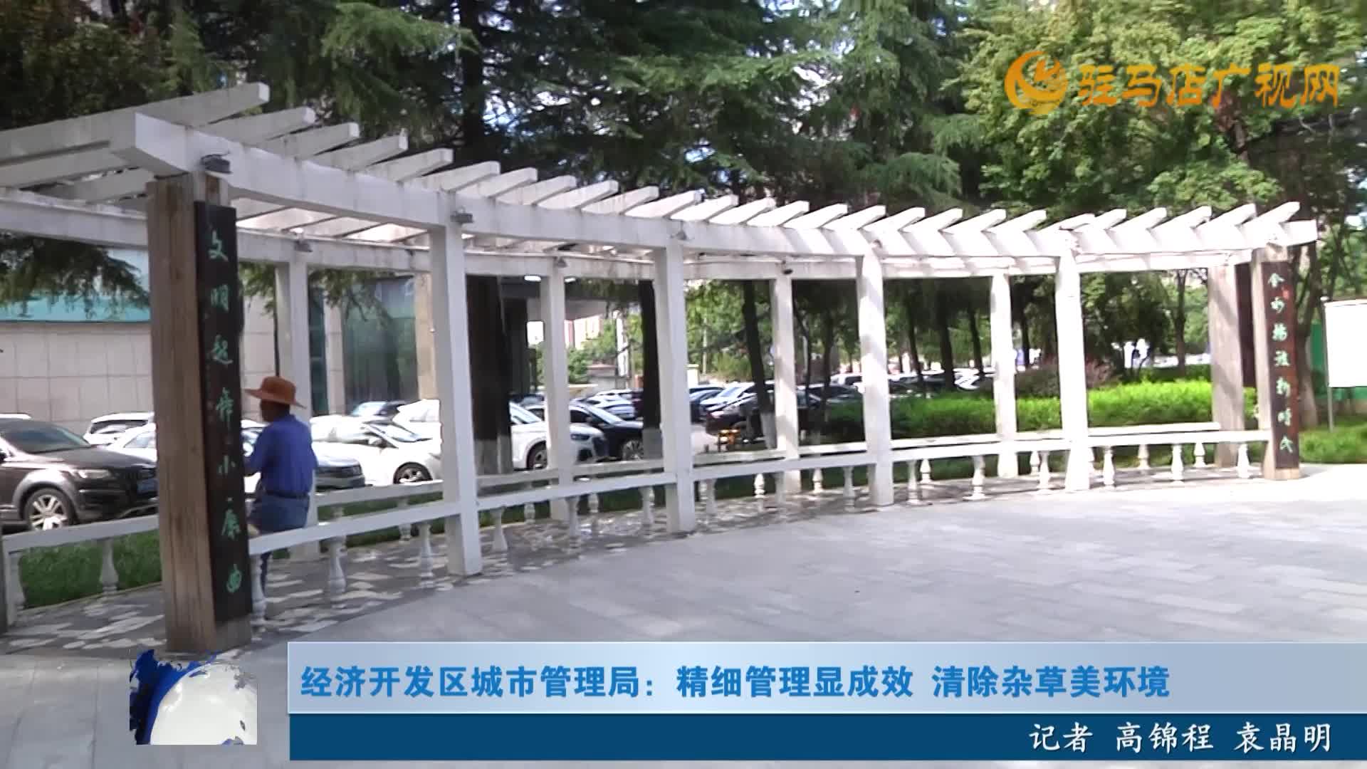 经济开发区城市管理局：精细管理显成效 清除杂草美环境