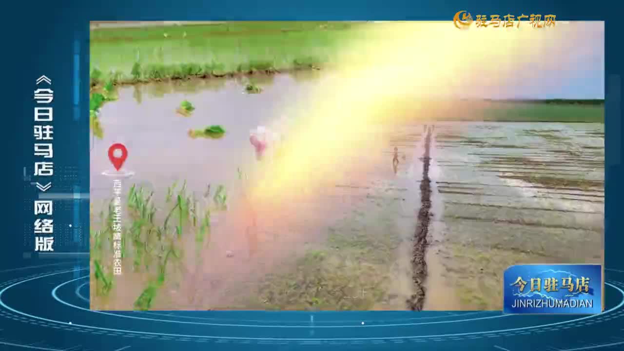 2025.07.04——《今日駐馬店》網(wǎng)絡(luò)版