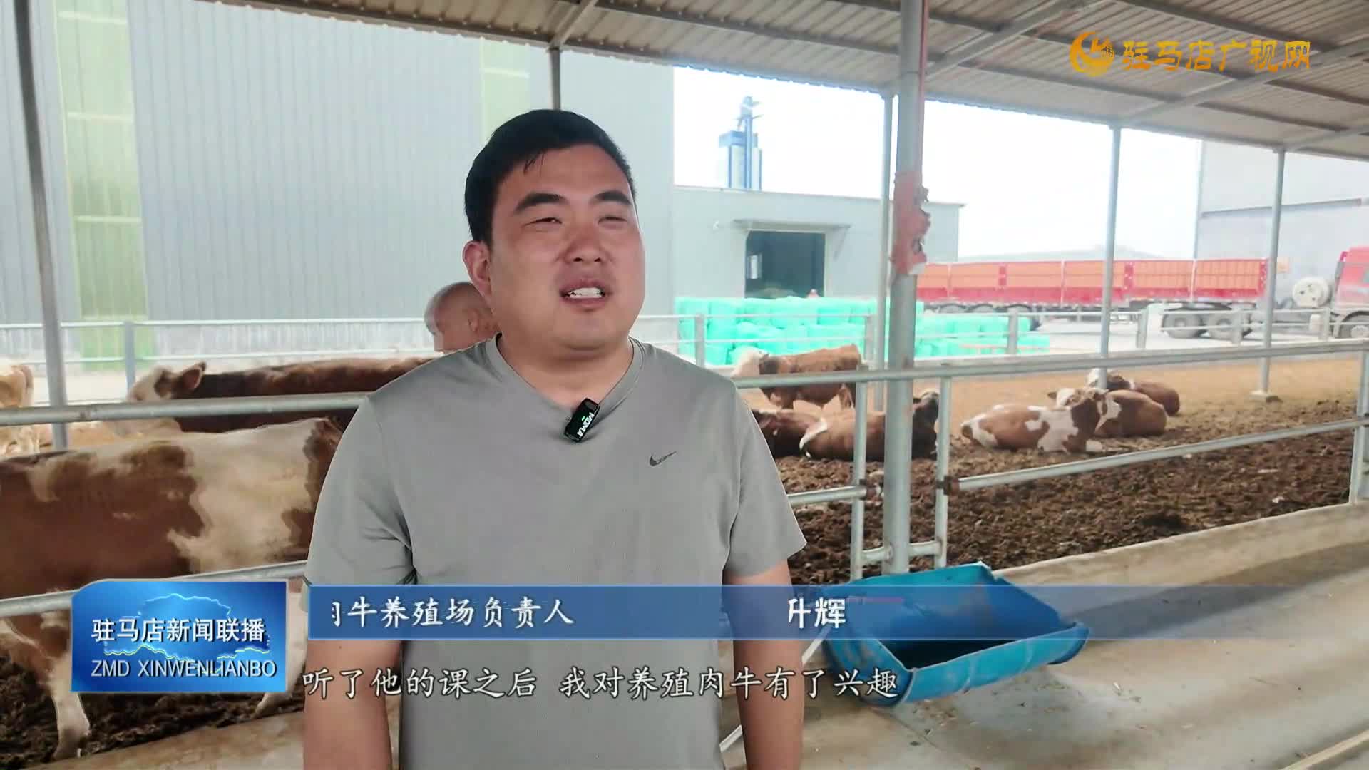 西平县盆尧镇:肉牛产业“牛劲”足 乡村振兴添活力
