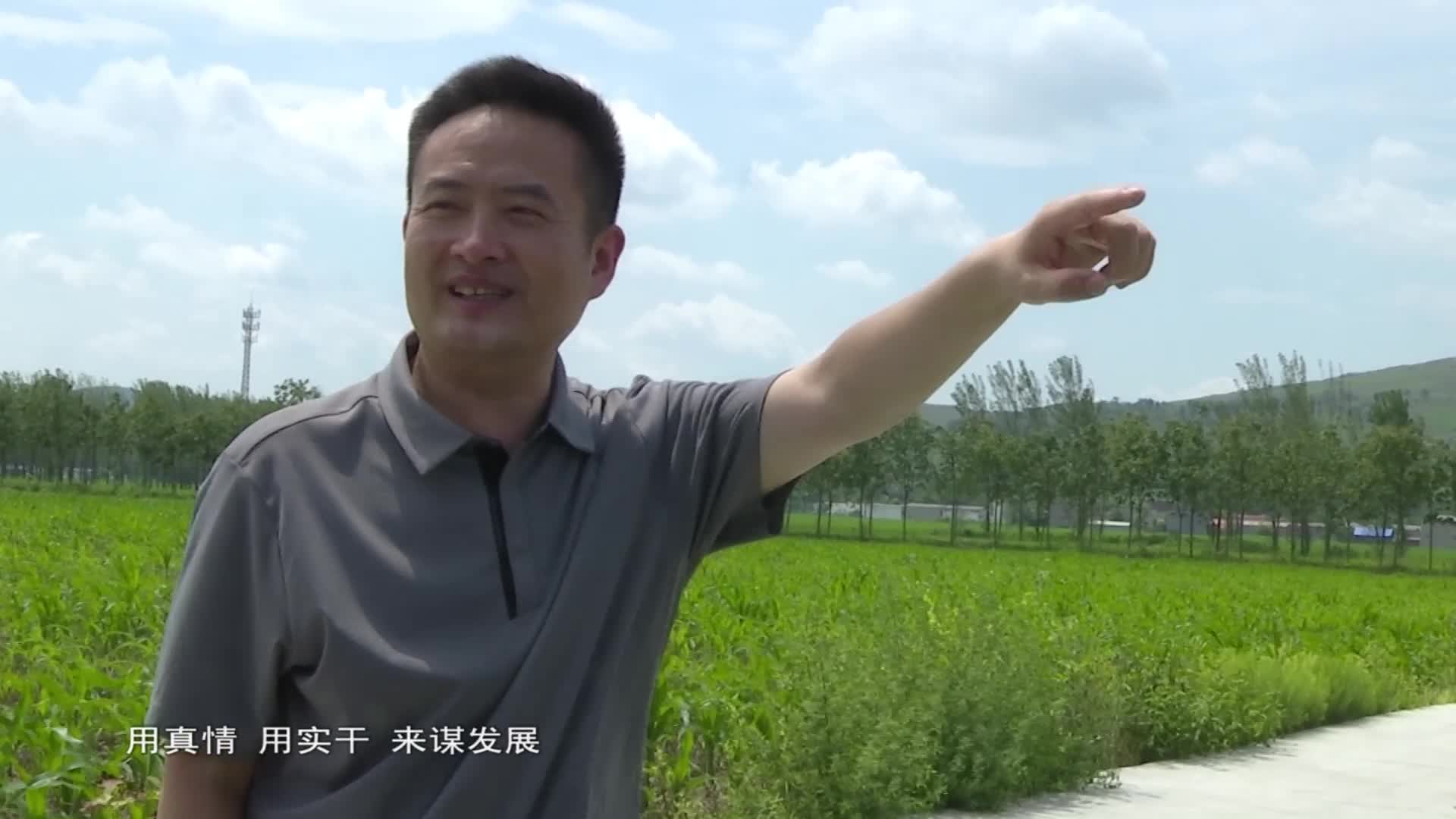 乡村振兴看天中系列报道——驻村书记说振兴