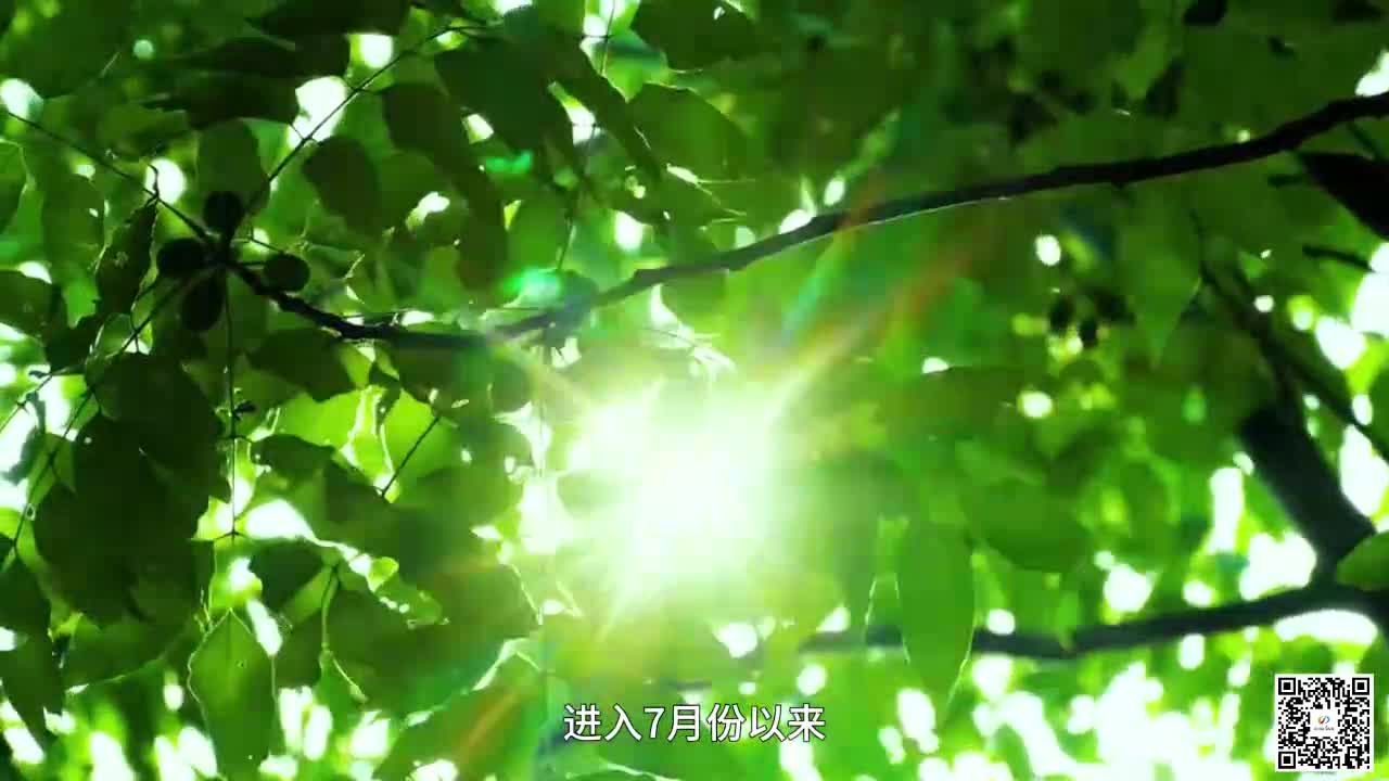 高温来袭 这些物品不要放在车里