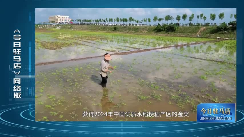 西平縣老王坡高標準農田首種水稻 開啟農業(yè)新篇章