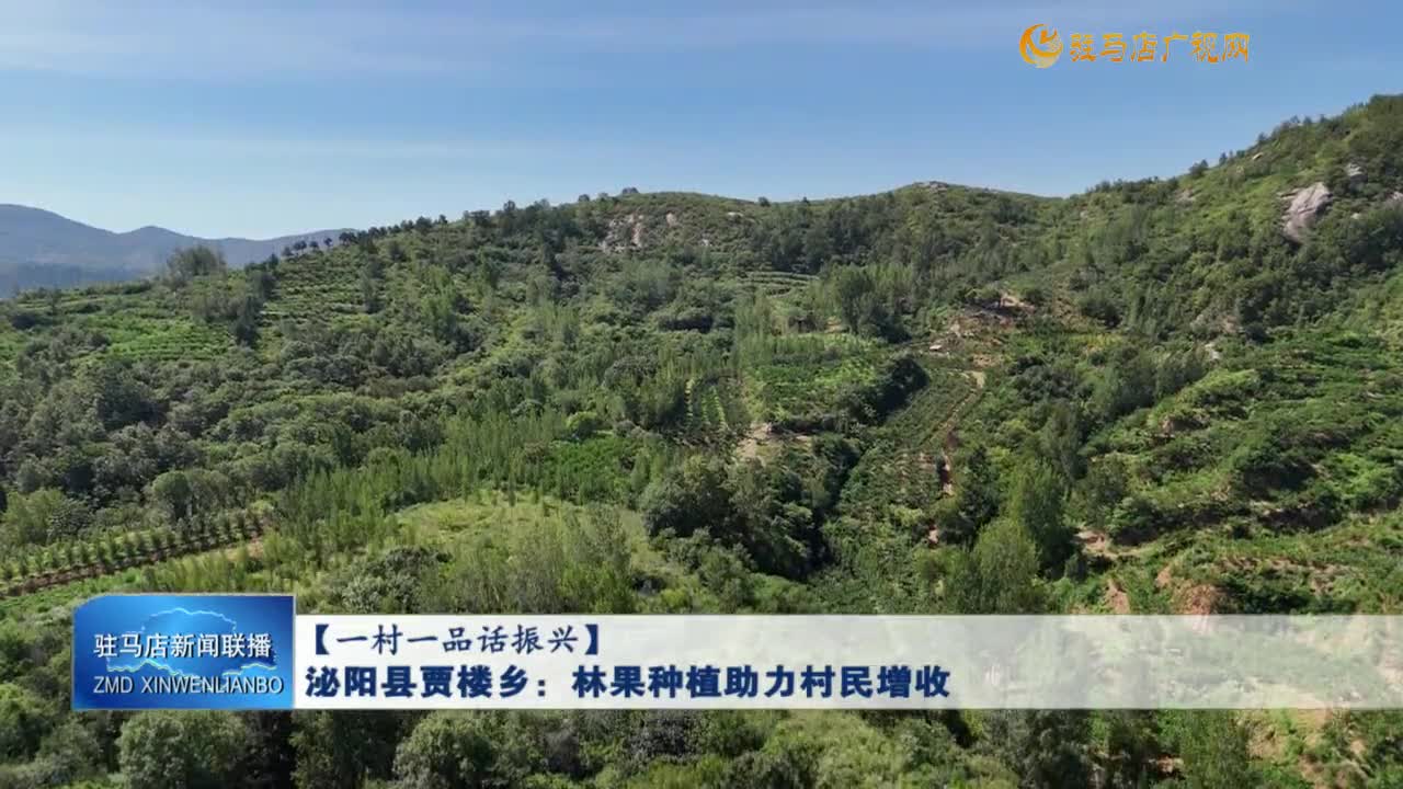 【一村一品話振興】泌陽縣賈樓鄉(xiāng)：林果種植助力村民增收
